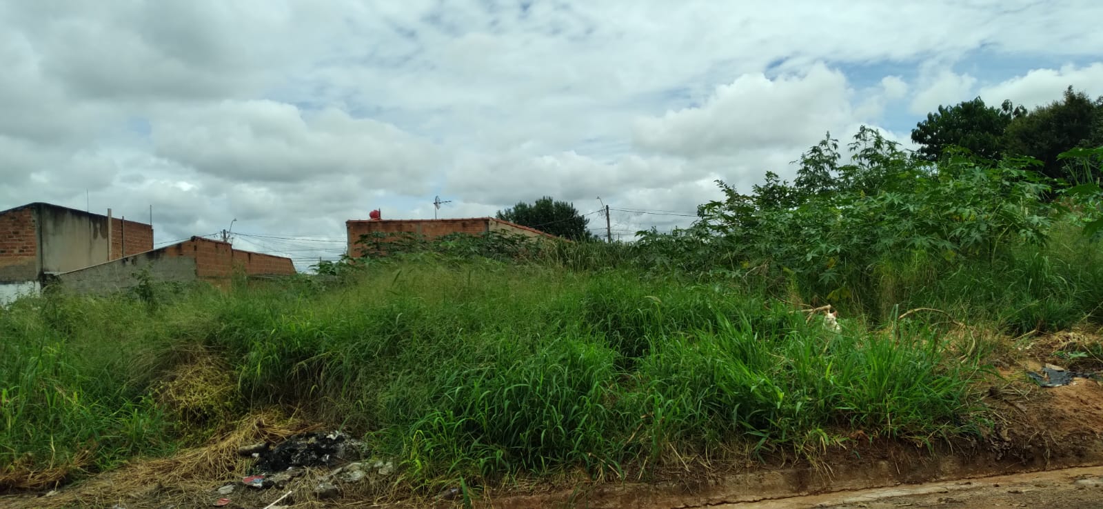 Terreno sem manutenção 